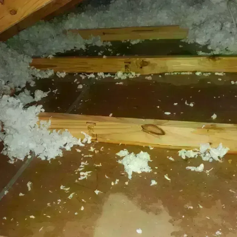 Attic Water Damage in East Naples, FL