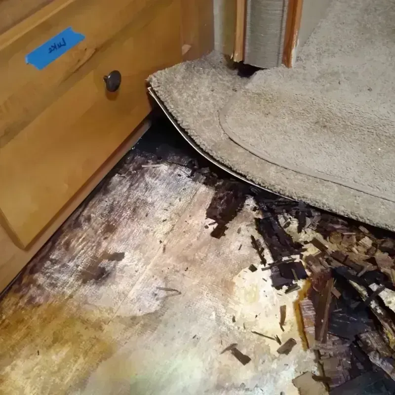 Best Wood Floor Water Damage Service in East Naples, FL